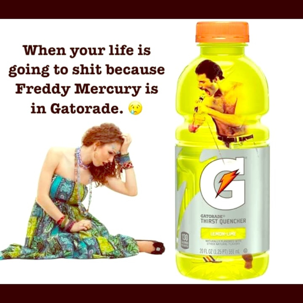 I’m back and an incredibly fast shipper now!